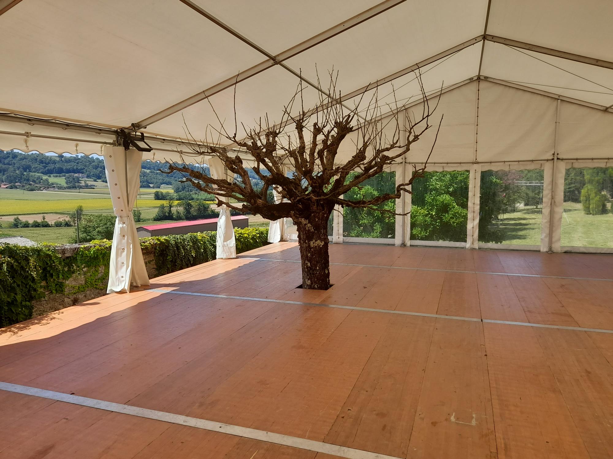 Location chapiteau Blanc Rhône-Alpes - Lyon, Grenoble, Chambéry, Annecy - Installation professionnelle Animantis